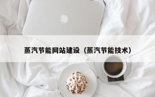 芜湖蒸汽节能网站建设（蒸汽节能技术）